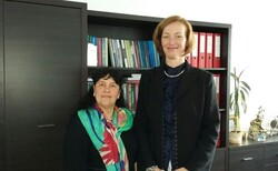 4_250x154_crop_478b24840a