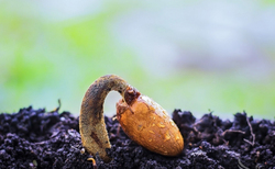 razcvet-na-novite-tehniki_250x154_crop_478b24840a