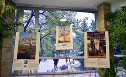 dsc0100_250x154_crop_478b24840a