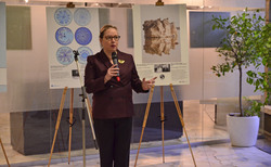 dsc0137_250x154_crop_478b24840a