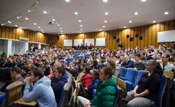 dsc0036_250x154_crop_478b24840a