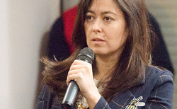 dsc0139-1_250x154_crop_478b24840a