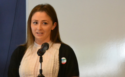 dsc-0677-1_250x154_crop_478b24840a