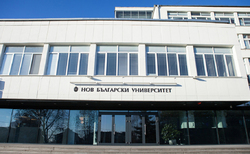 img-0005_250x154_crop_478b24840a