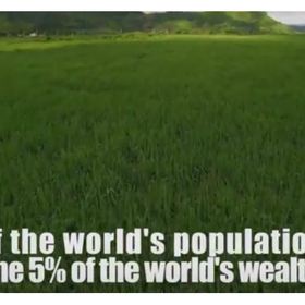 shto-e-to_280x280_crop_478b24840a