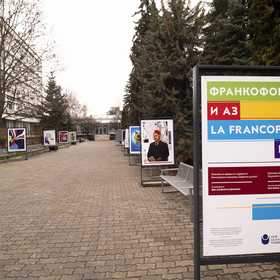 2522442-copy_280x280_crop_478b24840a