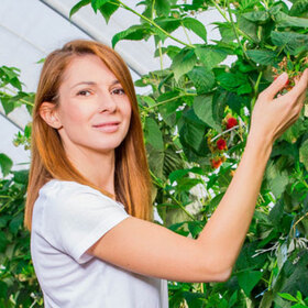 maq-qneva-agri-bg_280x280_crop_478b24840a