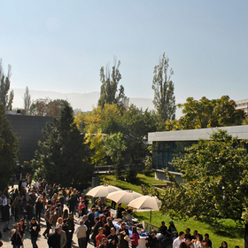 bp_280x280_crop_478b24840a