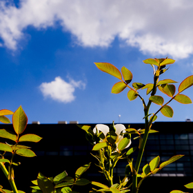 2622941-copy_280x280_crop_478b24840a