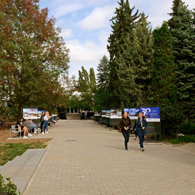 2366173_280x280_crop_478b24840a