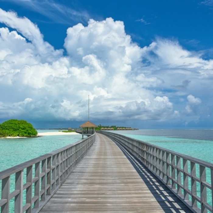 ali-maah-zy-oe-em4-ns-pm-unsplash_700x700_crop_478b24840a