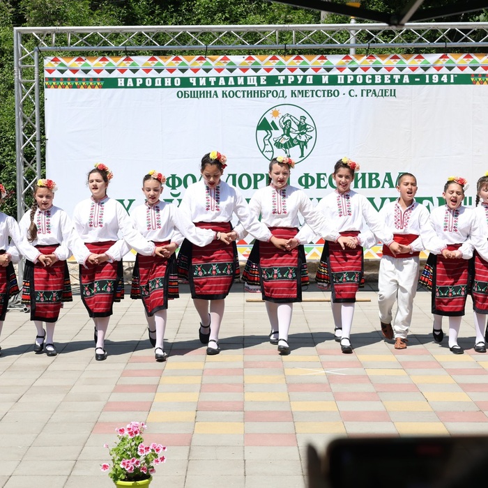 017-obshtina-kostinbrod_700x700_crop_478b24840a