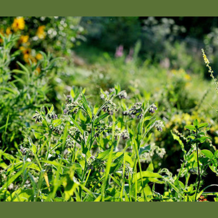 photo-5_700x700_crop_478b24840a