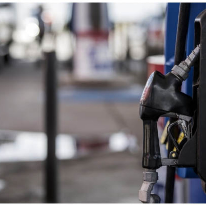 avramov_700x700_crop_478b24840a