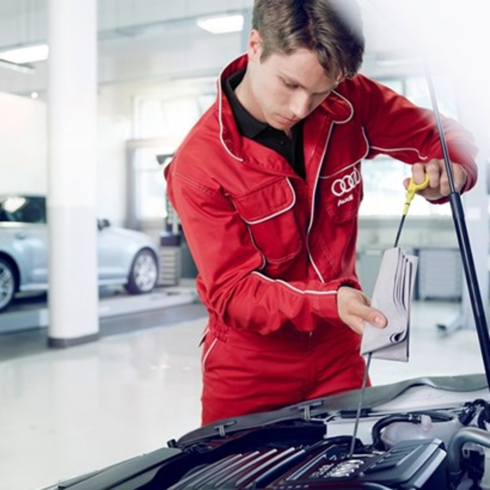 serviz_700x700_crop_478b24840a