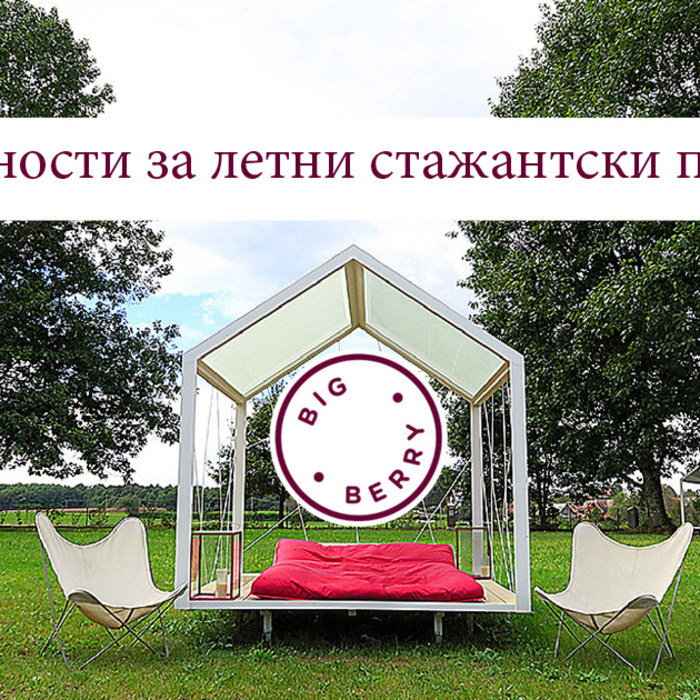 big-berry-staj_700x700_crop_478b24840a