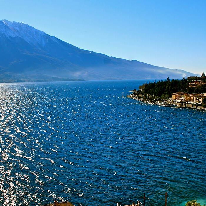 39259-lizo999_700x700_crop_478b24840a