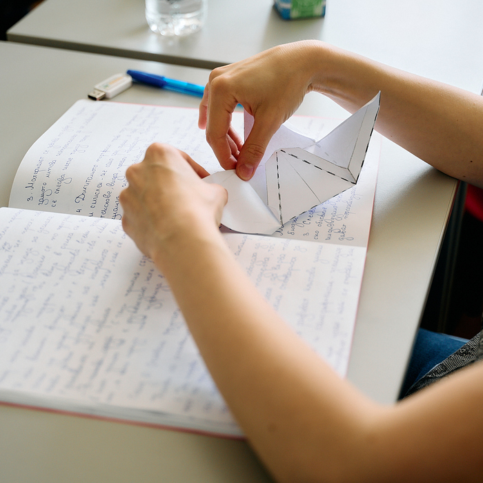 origami_700x700_crop_478b24840a