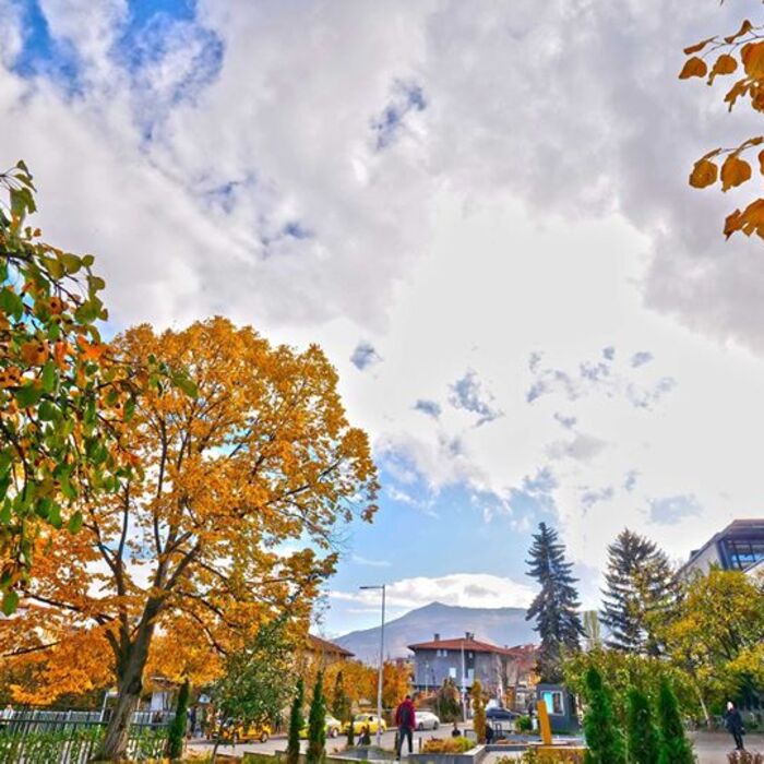 75419031-10157799929985929-8740965751164239872-o_700x700_crop_478b24840a