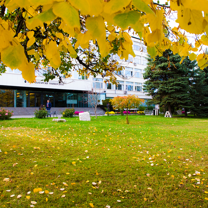 dsc-0046_700x700_crop_478b24840a