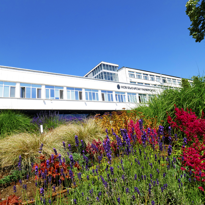 1844272_700x700_crop_478b24840a