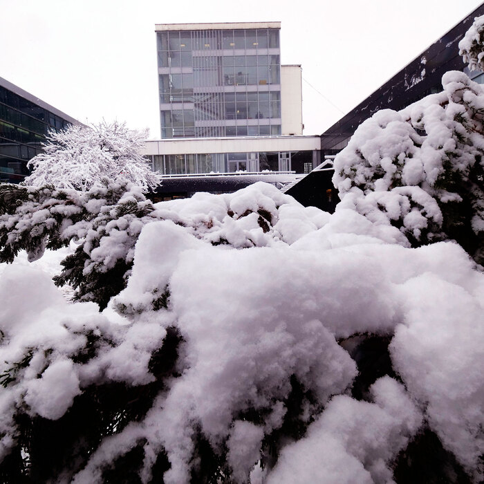 2455159_700x700_crop_478b24840a