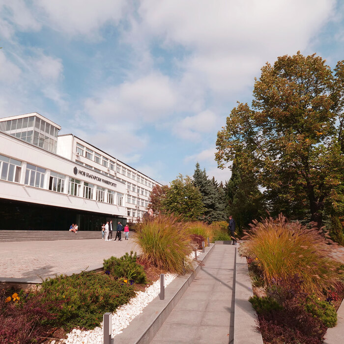 2366164_700x700_crop_478b24840a