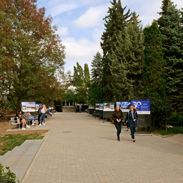 2366173_700x700_crop_478b24840a